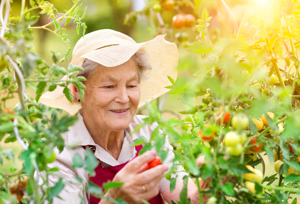 Senior Woman in Her Garden